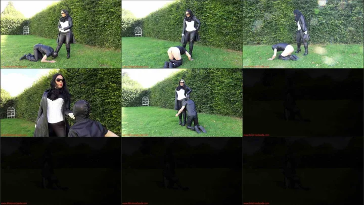 Screenshot 1 aus Age will not stop the whip