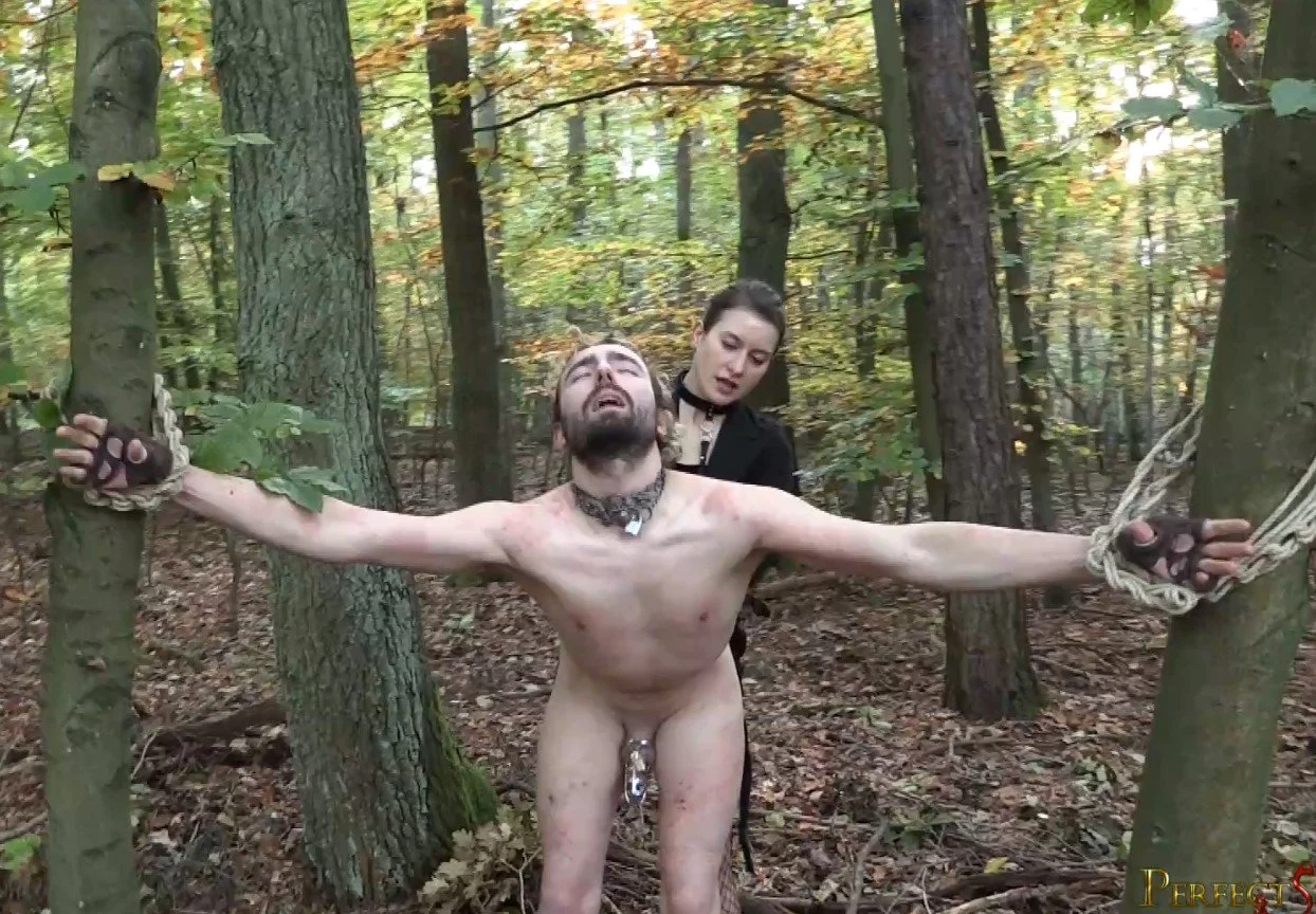 Video abspielen: Miss Flora – Kitty Likes to Suck Dog’s Cock