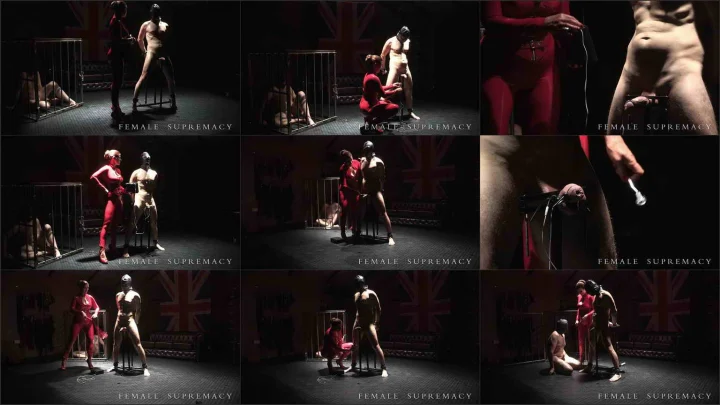 Screenshot 1 aus Cock Stock and Two Broken Testicles, Forced Bi Complete video