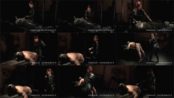 Screenshot 1 aus The Dog Handler Complete, Leather Gloves and Knee Boots