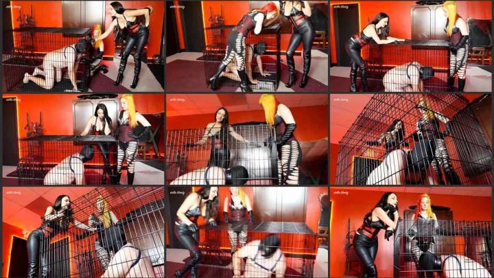 Screenshot 1 aus Double Domination, Crate Training 101, Break the Beast – Stella Liberty Femdom Video