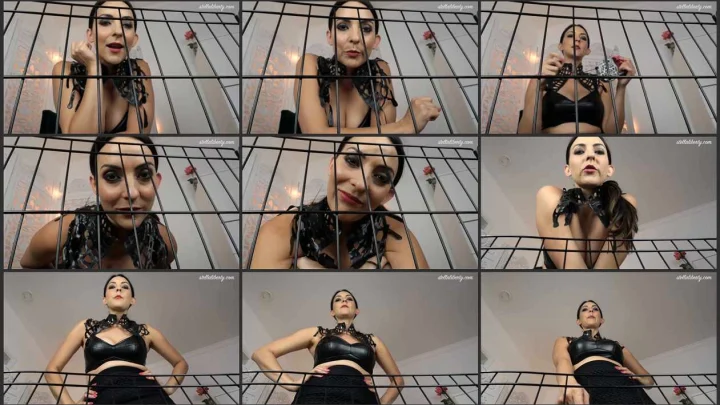 Screenshot 1 aus Puppy Play Femdom POV, Crate Training – Stella Liberty Femdom Video