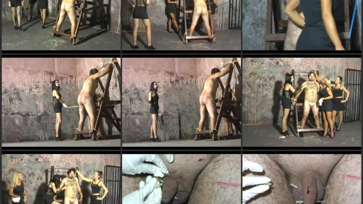 Screenshot 1 aus Needles and Whips